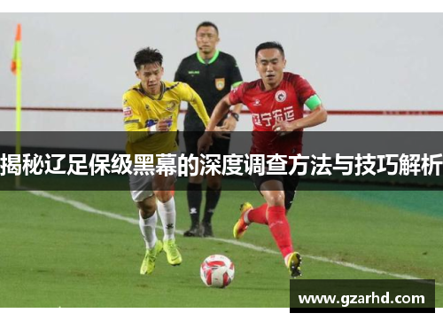 揭秘辽足保级黑幕的深度调查方法与技巧解析