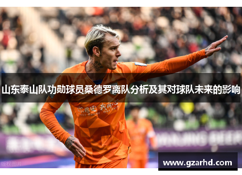 山东泰山队功勋球员桑德罗离队分析及其对球队未来的影响