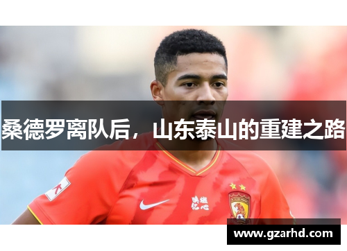 桑德罗离队后，山东泰山的重建之路