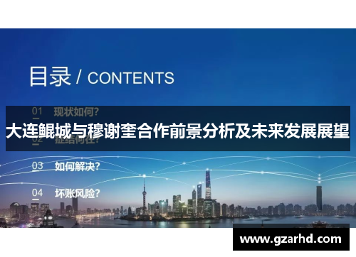 大连鲲城与穆谢奎合作前景分析及未来发展展望